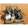 Image 1 : (3) water pumps, gas engine
