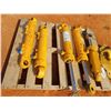 Image 2 : (5) 3 Cat hyd cylinder