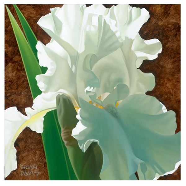 Brian Davis, "Solitary White Iris" Limited Edition Giclee on Canvas, Numbered an