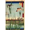 Image 3 : Hiroshige  - Iris Garden