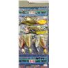 Image 4 : FISHERMAN'S DREAM TABLE LURE QTY 4. Retail value $120