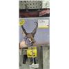 Image 1 : DURA MESH ARCHERY TARGET QTY2 TWO PRONGED ANTELOPE