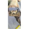Image 2 : DURA MESH ARCHERY TARGET QTY2 TWO PRONGED ANTELOPE