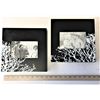 Image 1 : Picture Frames 3 1/2 x 5 1/2 (Black with tree design) Qty 2