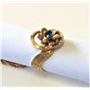Image 1 : Sapphire Ring and Chain