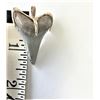 Image 1 : Shark Tooth Pendant