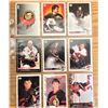 Image 1 : 9 Misc. Hockey Cards Senators ( Incl. Erik Karlsson)