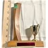 Image 1 : Trophy 1974
