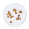 Image 2 : Lot of Gold Nuggets 1.57 Grams Total Weight