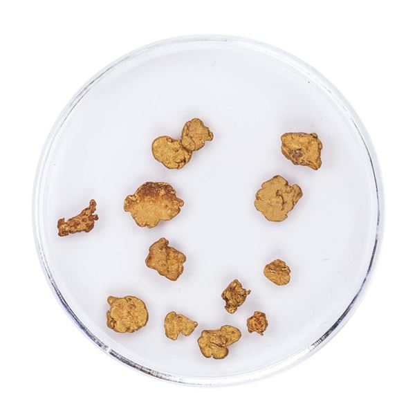 Lot of Gold Nuggets 1.87 Grams Total Weight