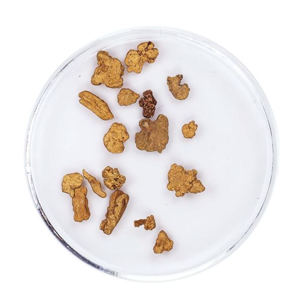 Lot of Gold Nuggets 2.38 Grams Total Weight