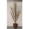 Image 1 : Tall Artificial Bare Tree w/ Adjustable Branches in Square Planter 71" Tall