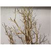 Image 2 : Tall Artificial Bare Tree w/ Adjustable Branches in Square Planter 71" Tall