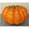 Image 1 : Large Orange Pumpkin (Reg $398 Red Tag Sale $199)  27"D x 15"H