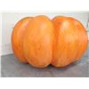 Image 2 : Large Orange Pumpkin (Reg $398 Red Tag Sale $199)  27"D x 15"H