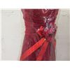 Image 3 : Qty 2 Wedding Gowns: 33" Red Velvet (Sale $129) & White Tulle Displays