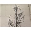 Image 2 : Qty 2 Tall Artificial Bare Trees w/ Adjustable Branches, Square Base 87" Tall