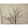 Image 2 : Qty 2 Tall Artificial Bare Trees w/ Electric Flower Lights, Metal Base 75" Tall