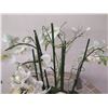 Image 2 : Winward Home Artificial White Orchid Fabric Plant in Bowl Base 31"H