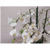 Image 3 : Winward Home Artificial White Orchid Fabric Plant in Bowl Base 31"H
