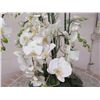 Image 4 : Winward Home Artificial White Orchid Fabric Plant in Bowl Base 31"H