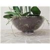 Image 7 : Winward Home Artificial White Orchid Fabric Plant in Bowl Base 31"H