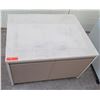 Image 1 : Low 2 Door Cabinet on Wheels 31.5"x25"x21"
