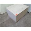 Image 2 : Low 2 Door Cabinet on Wheels 31.5"x25"x21"