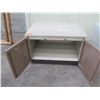 Image 3 : Low 2 Door Cabinet on Wheels 31.5"x25"x21"