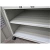 Image 6 : Low 2 Door Cabinet on Wheels 30"x25"x23"