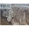 Image 3 : Black & White Art Print Matted & Wood-Framed 31"L