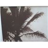 Image 2 : Black & White Beach Scene Print Matted in Wooden Frame 25"x32"