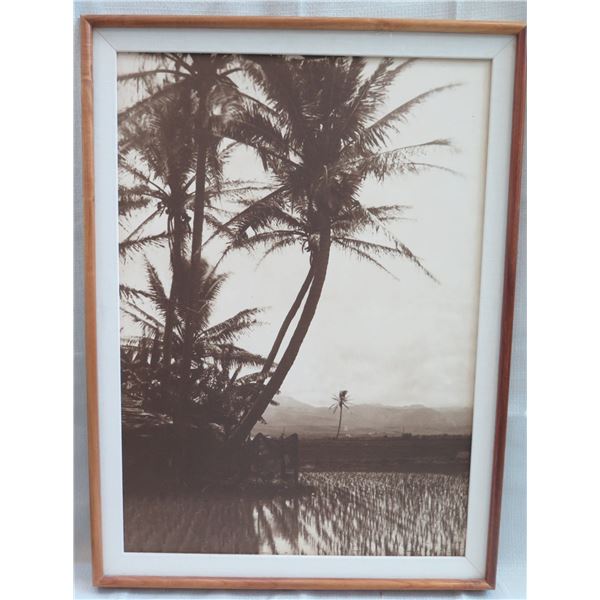 Black & White Beach Scene Print Matted in Wooden Frame 24"x32"