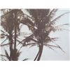 Image 2 : Black & White Beach Scene Print Matted in Wooden Frame 24"x32"