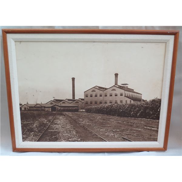 Black & White Sugar Mill Print Matted in Wooden Frame 32"x24"