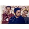 Image 1 : Autograph Signed Green Day Photo