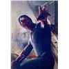 Image 1 : Autograph Signed Avengers Paul Beattany Photo