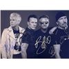 Image 1 : Autograph Signed U2 Bono Photo