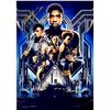 Image 1 : Chadwick Boseman Autograph Signed Black Panther Photo