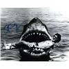 Image 1 : Autograph Signed Steven Spielberg Photo