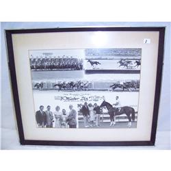 3 Horse Racing Photos 1950's - 1970's