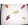 Image 1 : Native American Arrowheads Delaware