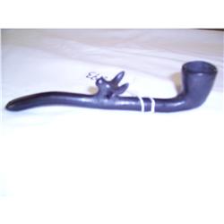 Santa Clara Indian Pipe