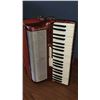 Image 5 : Vintage FRONTALINI accordion with case