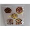 Image 1 : 6 PHOENIX COYOTES PINS