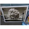 Image 2 : LOT OF PRINTS AND PAINTINGS AND CD RACK