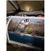 Image 2 : Naish park 10 watersport wind surfing kite with handle