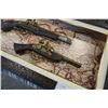 Image 3 : FLINTLOCK SHADOWBOX ART