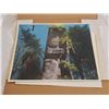 Image 1 : HAIDA POLE SIGNED ARTIST PROOF UNFRAMED PRINT AND PETE TOWNSHEND THE WHO PRINT