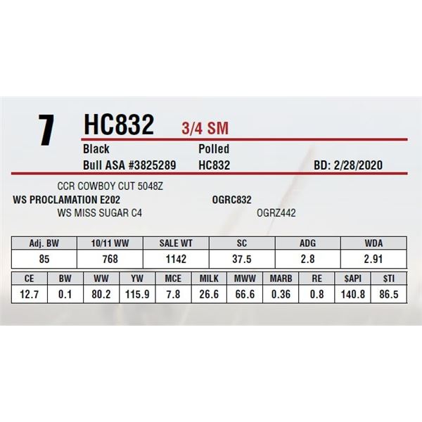 HC832
